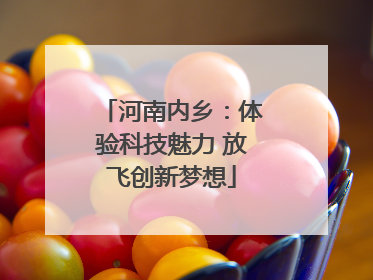 河南内乡：体验科技魅力 放飞创新梦想